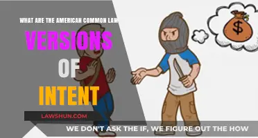 Understanding American Common Law Intent Standards
