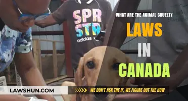 Animal Cruelty Laws: Canada's Strict Stance