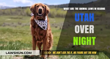Understanding Kearns, Utah's Overnight Animal Laws: A Comprehensive Guide