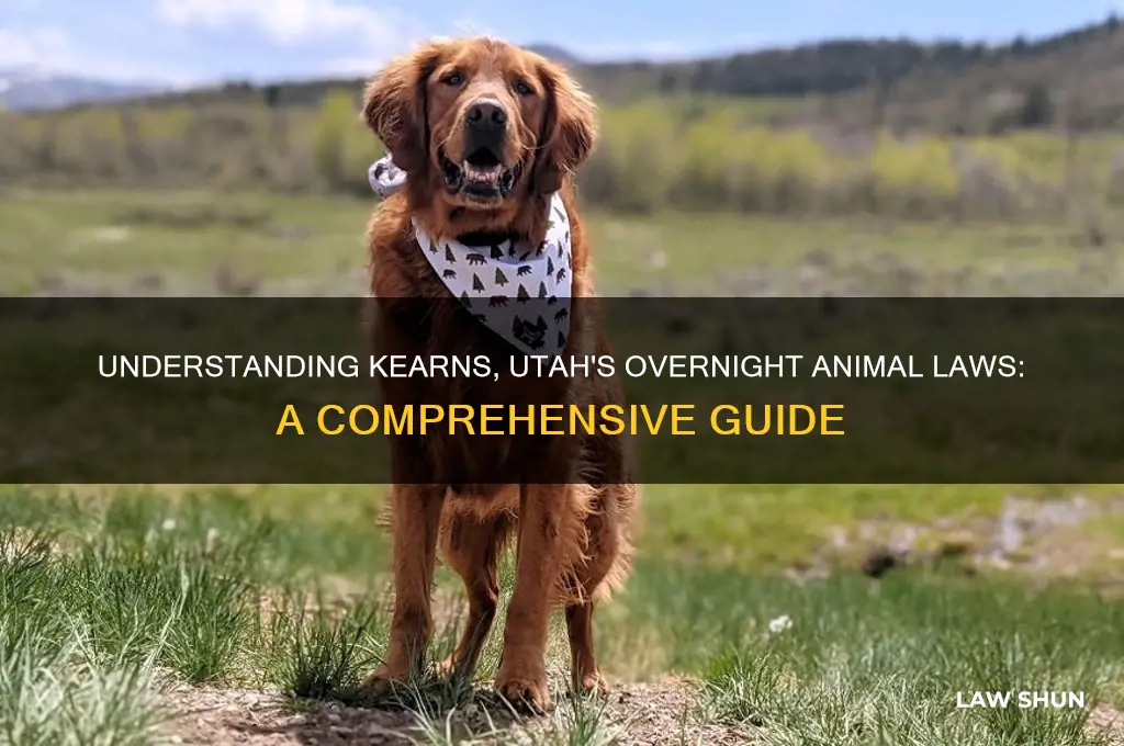 what are the animal laws in kearns utah over night