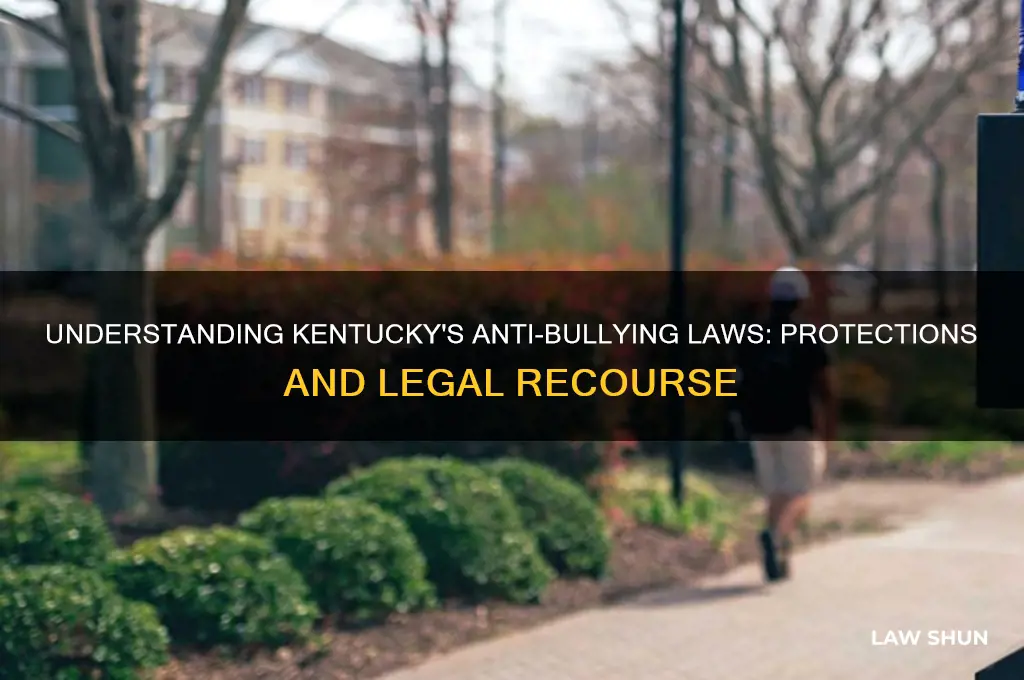 what are the anti bully laws in ky