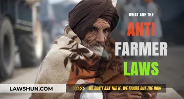 Understanding India's Controversial Anti-Farmer Laws: Impact and Protests Explained