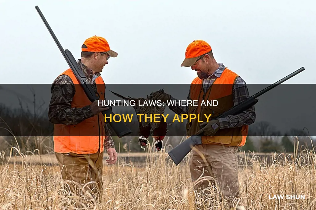 what are the areas in which laws apply to hunting