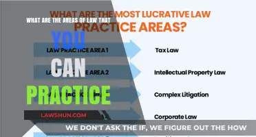 Explore the Diverse Legal Practice Areas