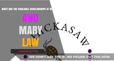 William & Mary Law Scholarships: Opportunities for Aspiring Legal Minds