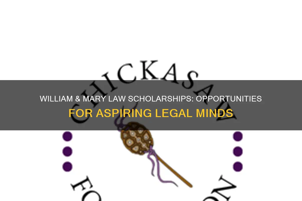 what are the available scholarships at william and mary law