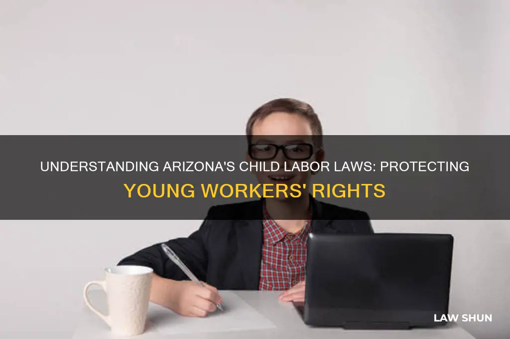 what are the az child labor laws