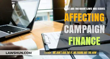 Understanding Campaign Finance: Key Laws and Critical Issues Explained