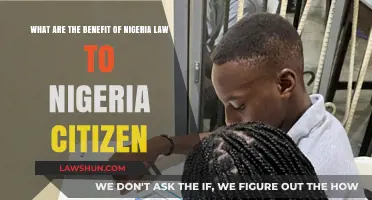 Nigeria's Legal System: Empowering Citizens Through Protection and Opportunities