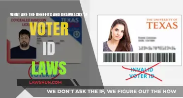 Voter ID Laws: Balancing Election Integrity and Accessibility Concerns