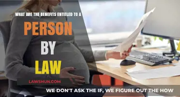 Legal Entitlements: Understanding Your Rights and Benefits Under the Law