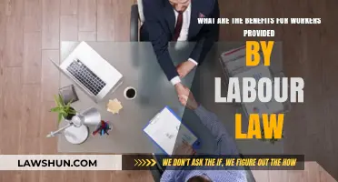 Empowering Workers: Key Benefits of Labour Law for Employees