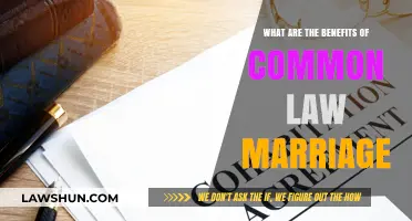 Common-Law Marriage: Benefits and Legal Recognition