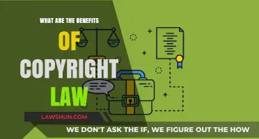 Protecting Creativity: Key Benefits of Copyright Law for Creators and Society