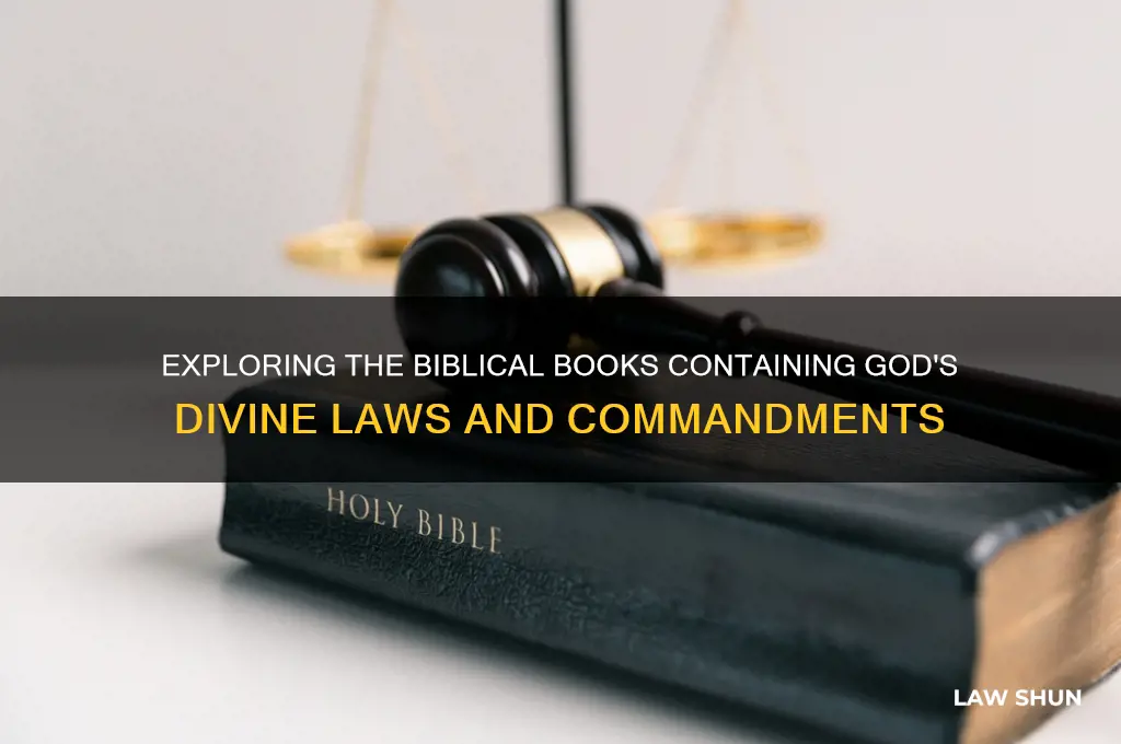 what are the books in the bible with god