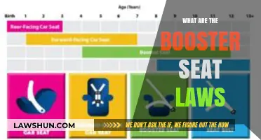 Understanding Booster Seat Laws: A Guide for Safe Travel