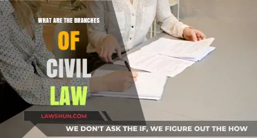 Exploring the Diverse Branches of Civil Law and Their Applications