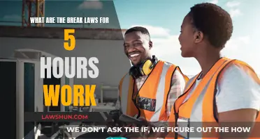 Understanding Break Laws for Short Work Shifts