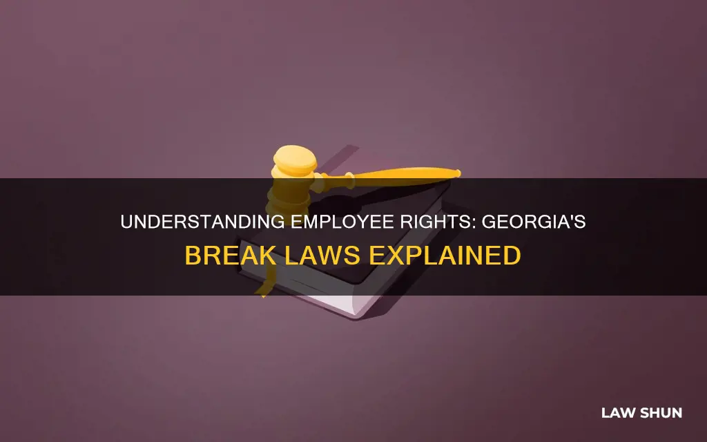 what are the break laws in georgia