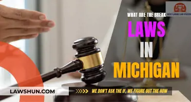 Understanding Michigan's Break Laws: Your Essential Guide