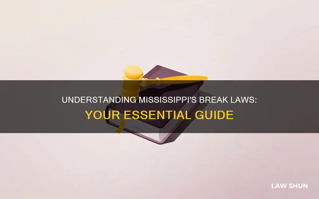 what are the break laws in mississippi