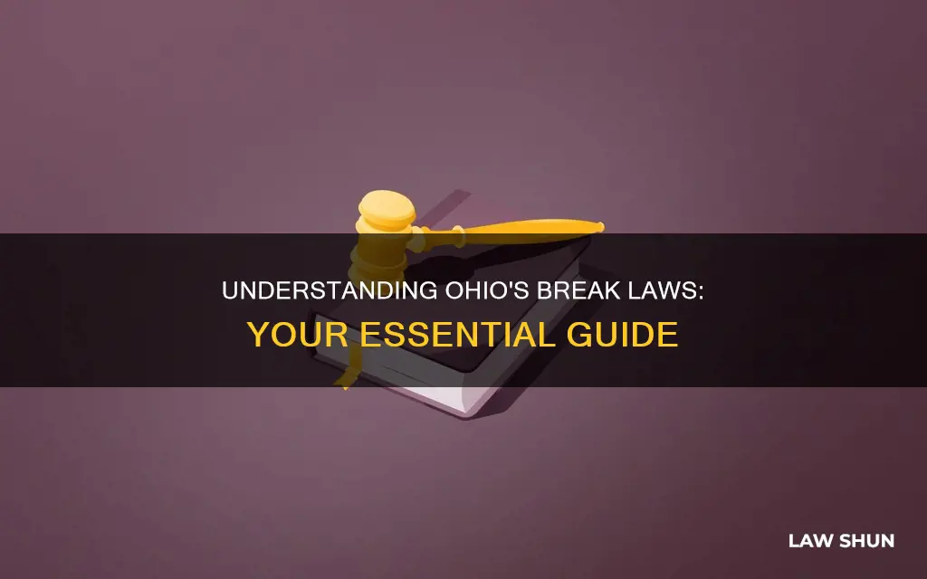 what are the break laws in ohio