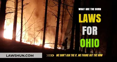 Ohio Burn Laws: Understanding Regulations for Open Burning Safely