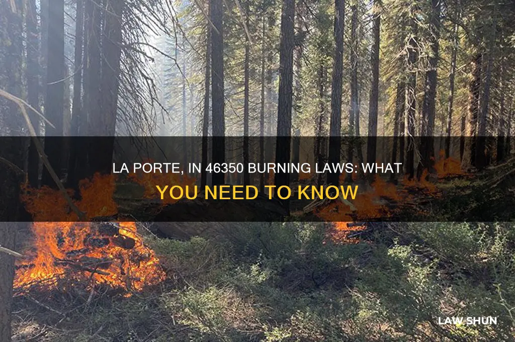 what are the burning laws for la porte in 46350