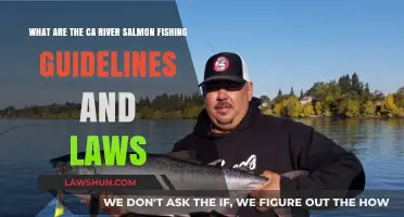 California River Salmon Fishing: Essential Guidelines and Legal Requirements