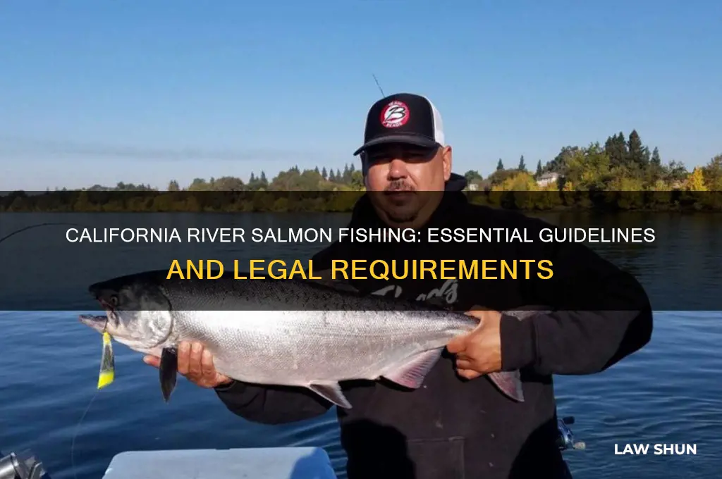 what are the ca river salmon fishing guidelines and laws
