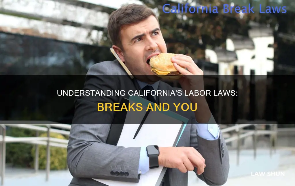 what are the california labor laws regarding breaks