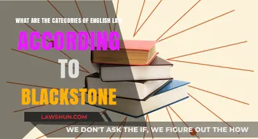 Blackstone's Classification: Exploring the Categories of English Law