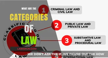 Exploring the Diverse Categories of Law: A Comprehensive Guide