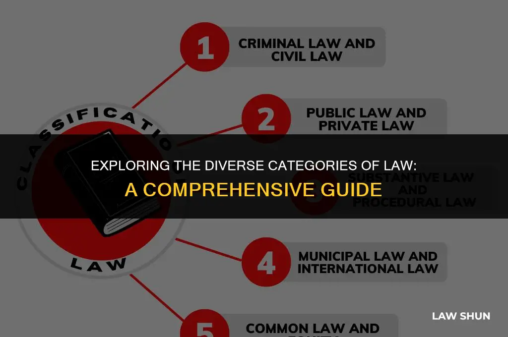 what are the categories of law