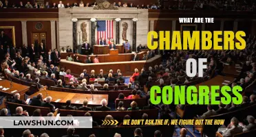 Exploring the Chambers of Congress: A Comprehensive Guide