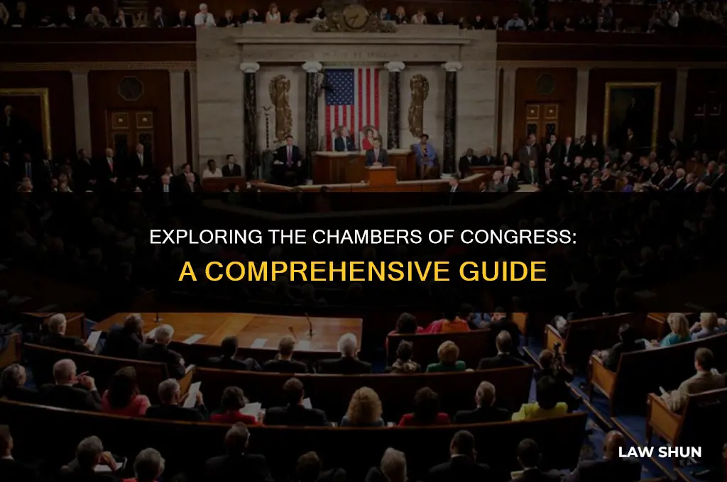 what are the chambers of congress