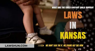 Kansas Child Custody & Support Laws: Understanding Your Rights and Responsibilities