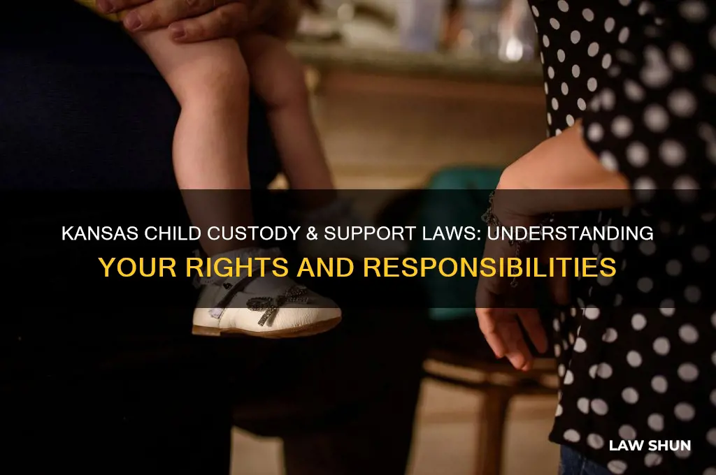 what are the child custody child support laws in kansas