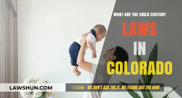 Understanding Colorado's Child Custody Laws: A Comprehensive Guide for Parents