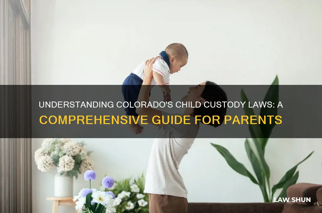 what are the child custody laws in colorado