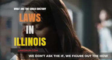 Understanding Illinois Child Custody Laws: Parental Rights and Responsibilities
