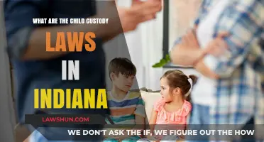 Understanding Indiana's Child Custody Laws: A Comprehensive Guide for Parents