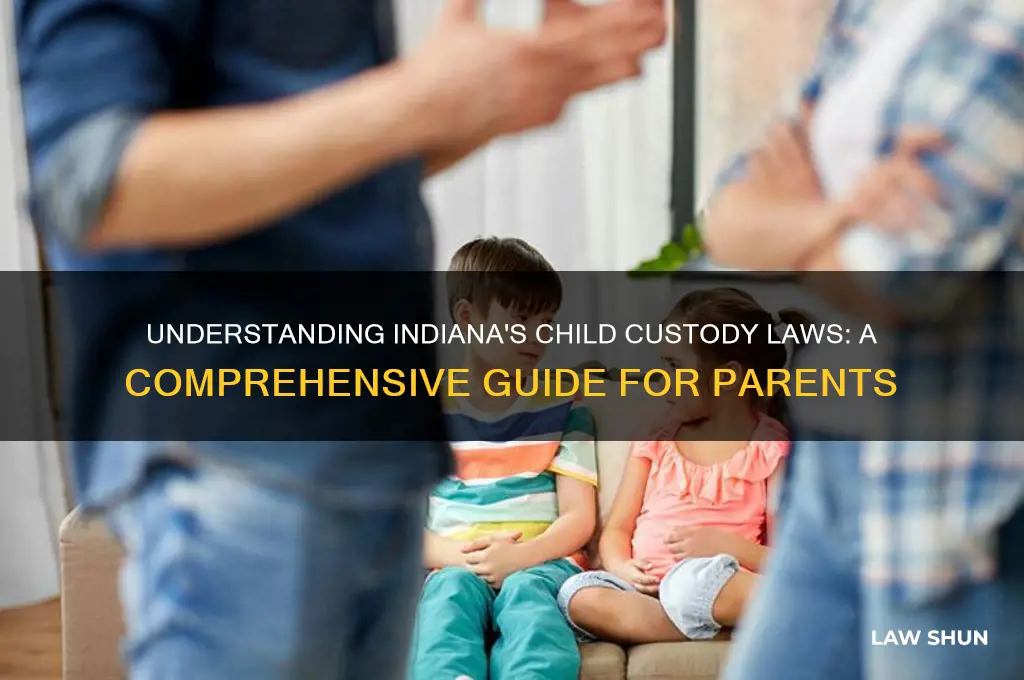 what are the child custody laws in indiana