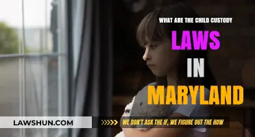 Understanding Maryland's Child Custody Laws: A Comprehensive Guide for Parents
