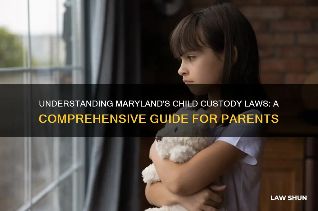 what are the child custody laws in maryland