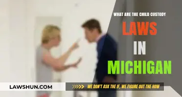 Understanding Michigan Child Custody Laws: A Comprehensive Guide for Parents