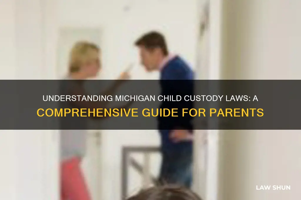 what are the child custody laws in michigan