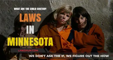 Understanding Minnesota Child Custody Laws: A Comprehensive Guide for Parents