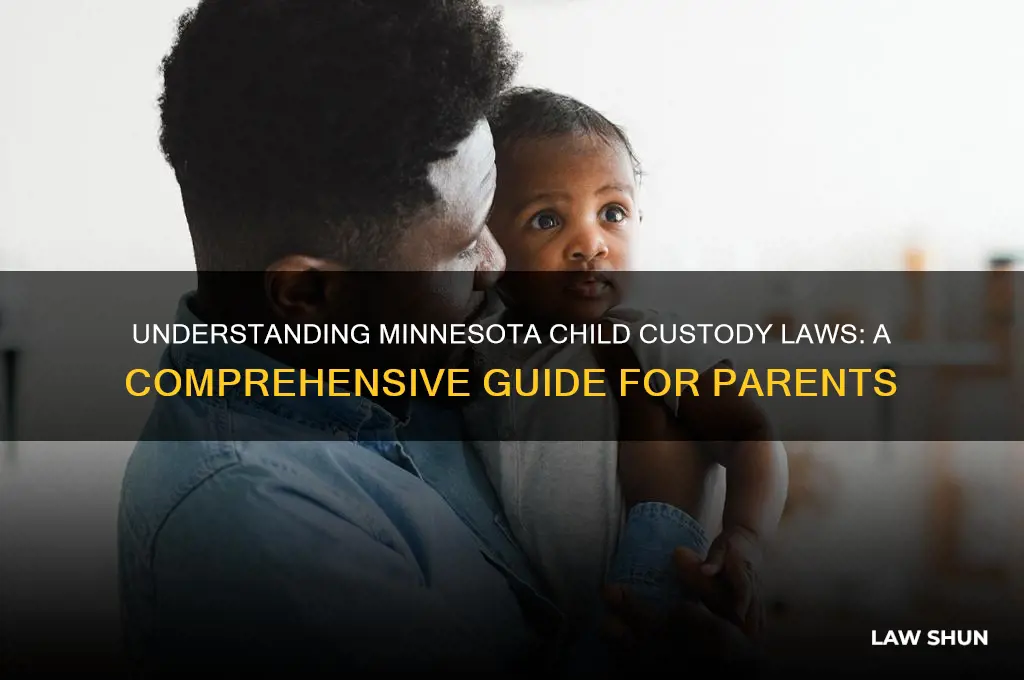 what are the child custody laws in minnesota