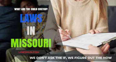 Understanding Missouri's Child Custody Laws: A Comprehensive Guide for Parents
